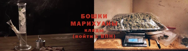крисы Богданович