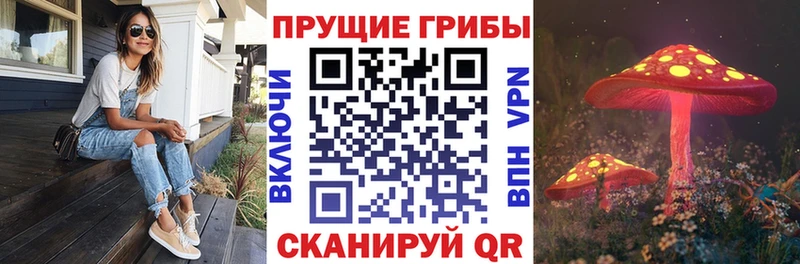 hydra ТОР  Старица  Псилоцибиновые грибы мицелий 